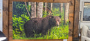 Banovich Grizzly