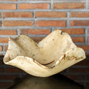 Uttermost 17094 Tamarine Wood Bowl IMAGE 3