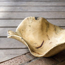 Uttermost 17094 Tamarine Wood Bowl IMAGE 5