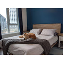  LH Imports Gia King Panel Bed GIA001KB IMAGE 18
